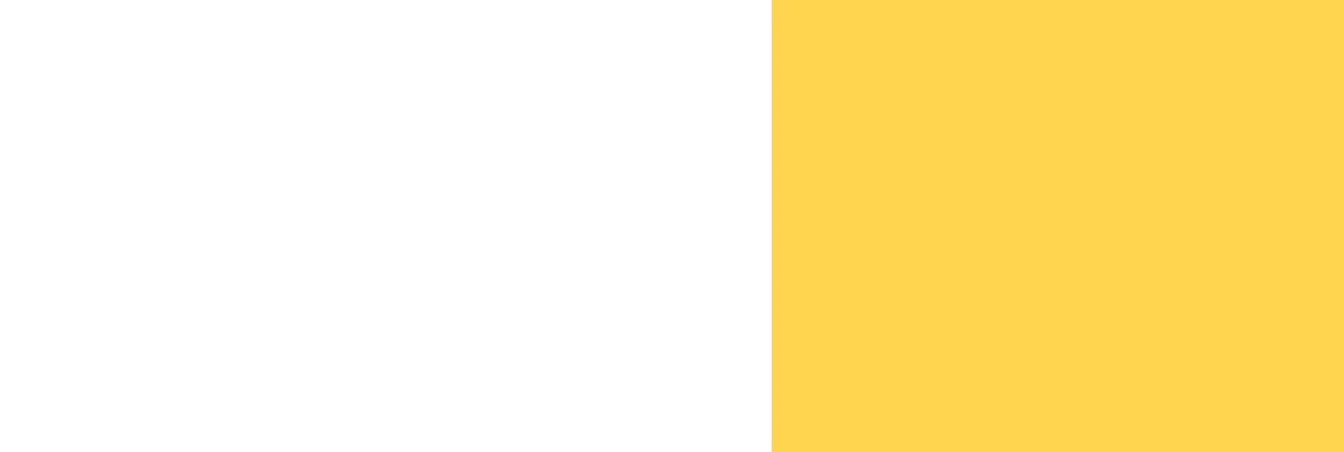 BANNER BG SOFTWARE 002 01
