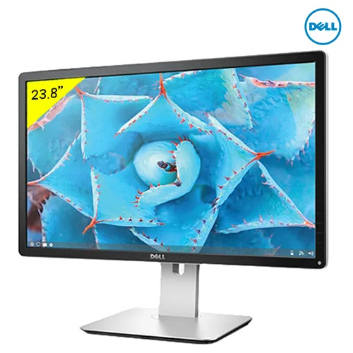 LD P2415Q