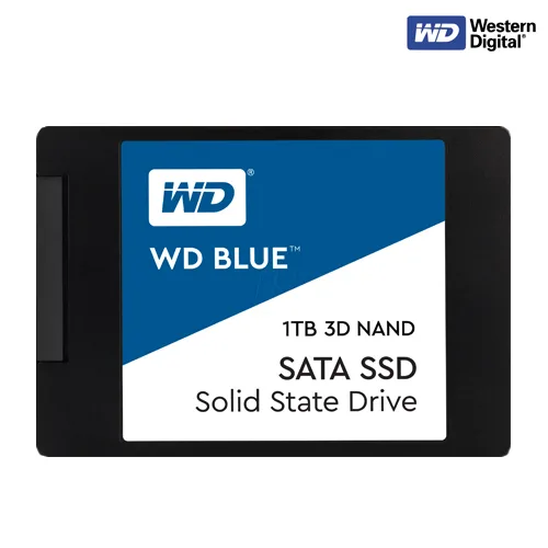 WDS100T2B0A