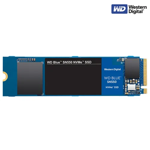 WDS100T2B0C