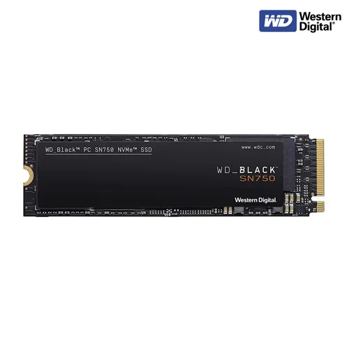 WDS100T3X0C