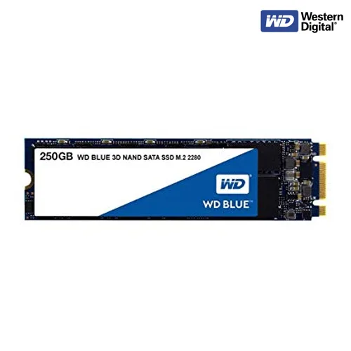 WDS250G2B0B