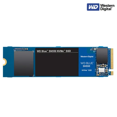 WDS250G2B0C