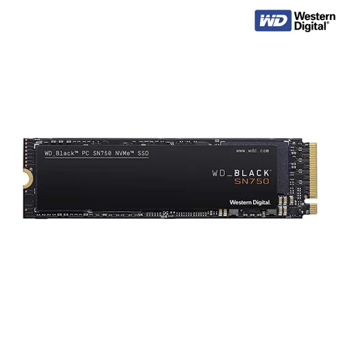 WDS500G3X0C