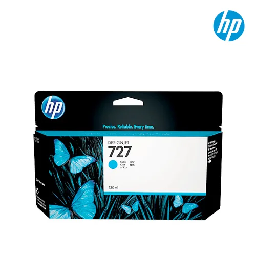 B3P19A