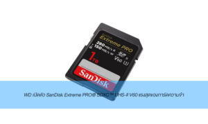 sandisk post 270766 001