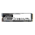 SKC2500M8 1000G