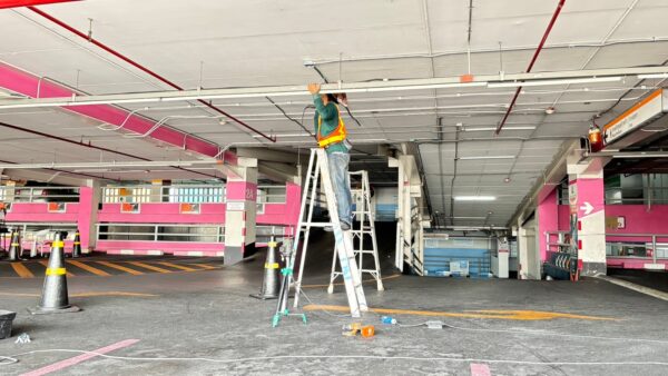working S3190767 4