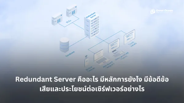 What is Redundant Server