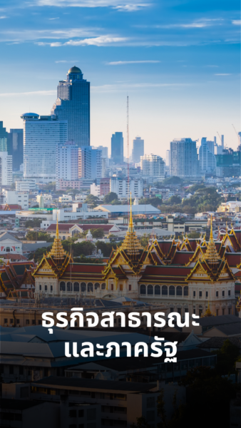 ธุรกิจสาธารณะ และภาครัฐ