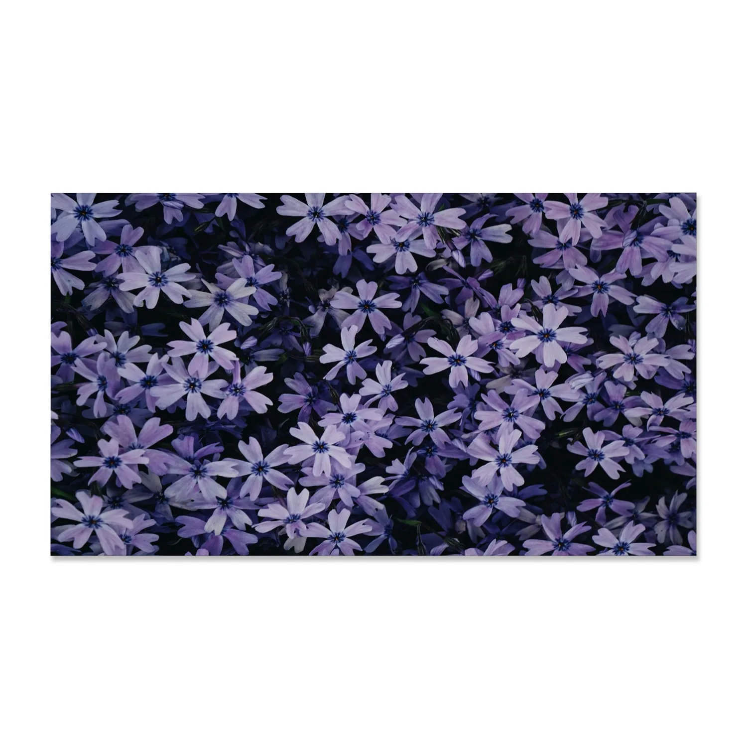 hip series indoor led display