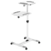 (461726) Projectors and Laptops cart upto 10 kg